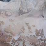 �t�F���T�e�B