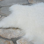 �J�E�n�C�h���O